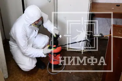 Фото: дезинфектор в защитном костюме проводит обработку помещения от постельных клопов. Профессиональное уничтожение насекомых в Липецке — НИМФАДЕЗ.