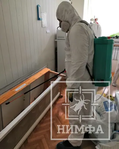 Фото: специалист по дезинсекции в защитном костюме проводит обработку помещения от насекомых. Профессиональное уничтожение тараканов и клопов в Липецке — НИМФАДЕЗ.