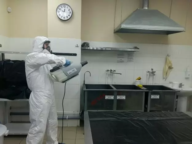 Профессиональная обработка кухни в кафе и ресторане от тараканов
