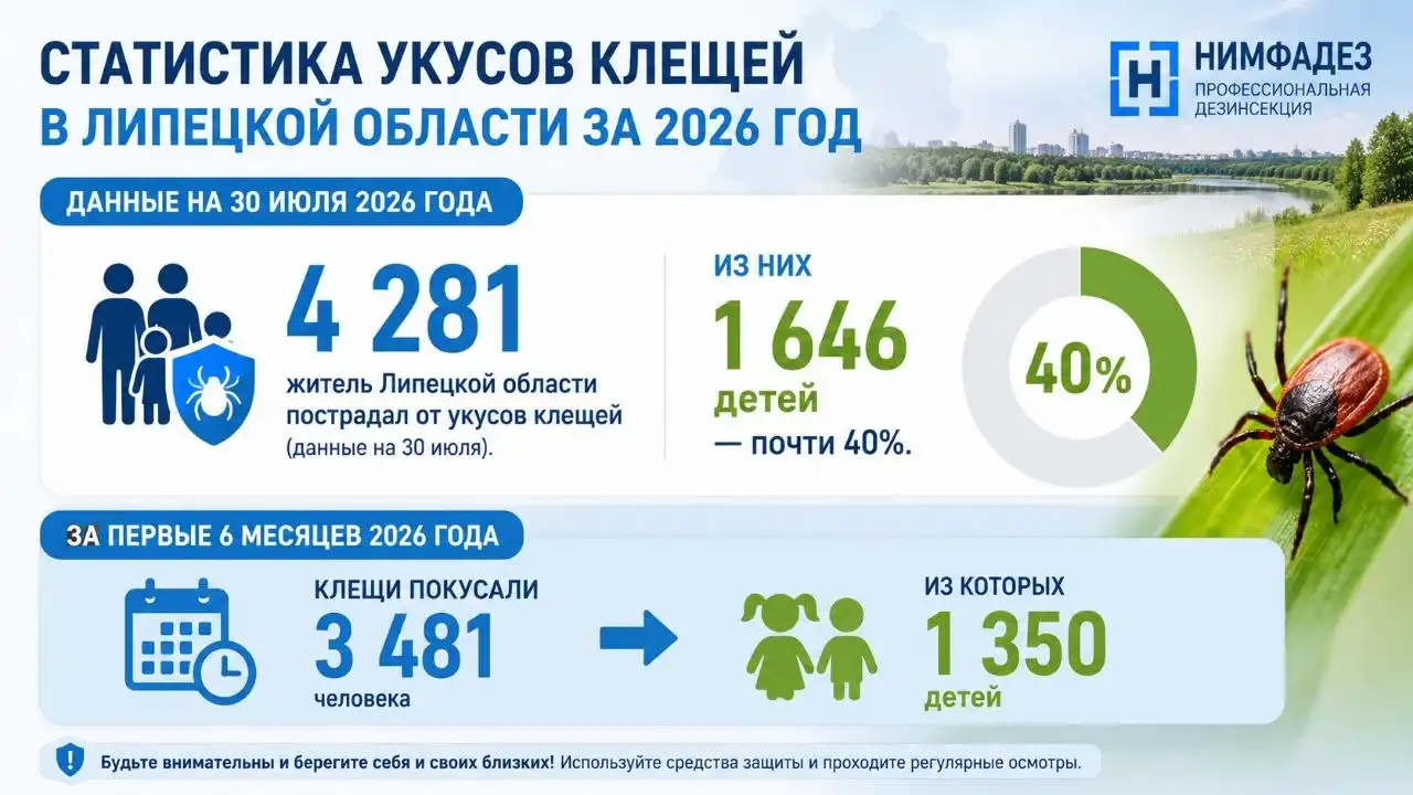 Инфографика со статистикой укусов клещей в Липецкой области за 2026 год.